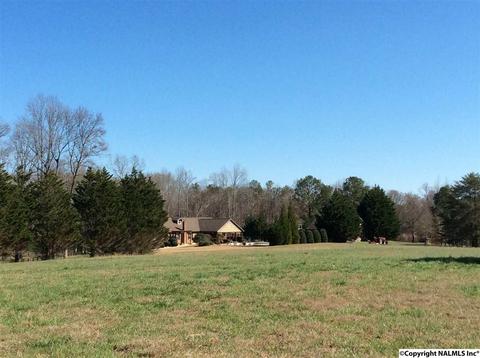 512 Widgren Dr, Arab, AL 35016 photo 28