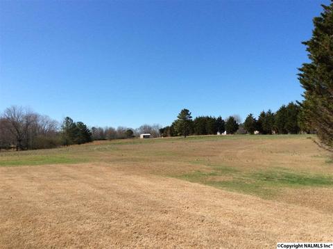 512 Widgren Dr, Arab, AL 35016 photo 31