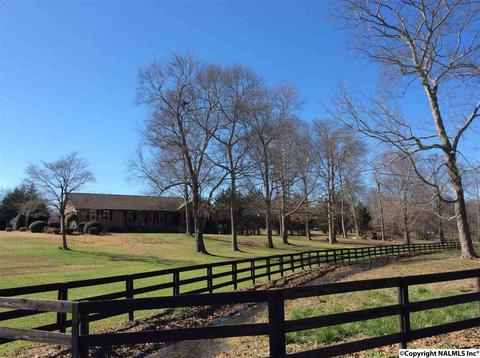 512 Widgren Dr, Arab, AL 35016 photo 48
