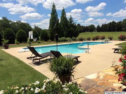 512 Widgren Dr, Arab, AL 35016 photo 40