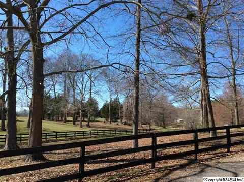 512 Widgren Dr, Arab, AL 35016 photo 30