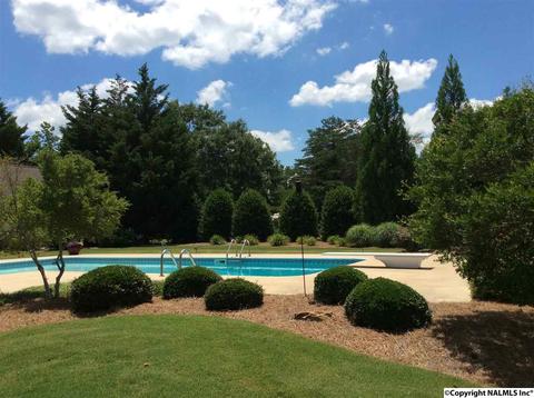 512 Widgren Dr, Arab, AL 35016 photo 43