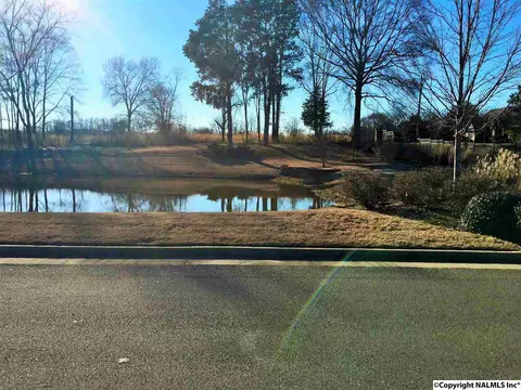 4202 Ruby Pointe Dr, Decatur, AL 35603 photo 3
