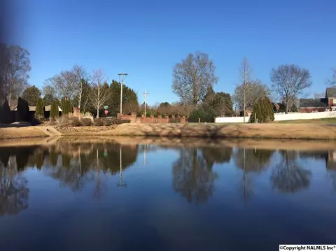 4202 Ruby Pointe Dr, Decatur, AL 35603 photo 1
