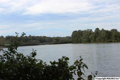 375 Lakeside Dr, Centre, AL 35960 photo 6