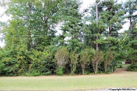 375 Lakeside Dr, Centre, AL 35960 photo 47