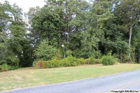 375 Lakeside Dr, Centre, AL 35960 photo 48