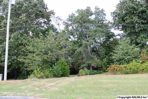 375 Lakeside Dr, Centre, AL 35960 photo 49