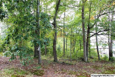 375 Lakeside Dr, Centre, AL 35960 photo 42