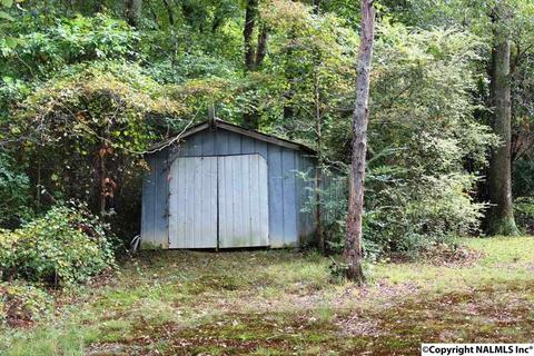 375 Lakeside Dr, Centre, AL 35960 photo 41