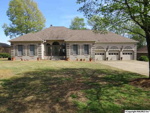 106 Lowell Dr, Grant, AL 35747 photo 1