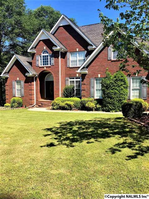 101 County Road 470, Trinity, AL 35673 photo 32