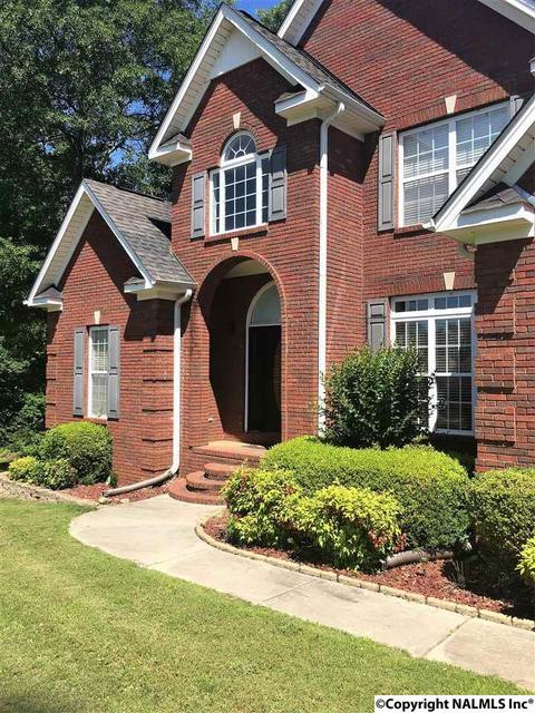 101 County Road 470, Trinity, AL 35673 photo 3