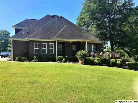 101 County Road 470, Trinity, AL 35673 photo 28