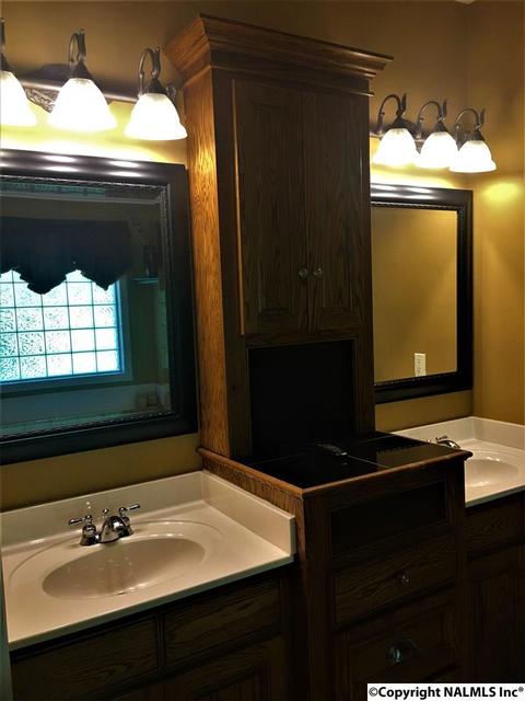 101 County Road 470, Trinity, AL 35673 photo 18