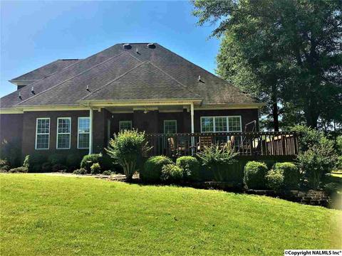101 County Road 470, Trinity, AL 35673 photo 29