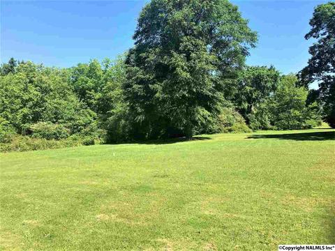 101 County Road 470, Trinity, AL 35673 photo 31