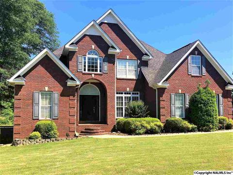 101 County Road 470, Trinity, AL 35673 photo 1