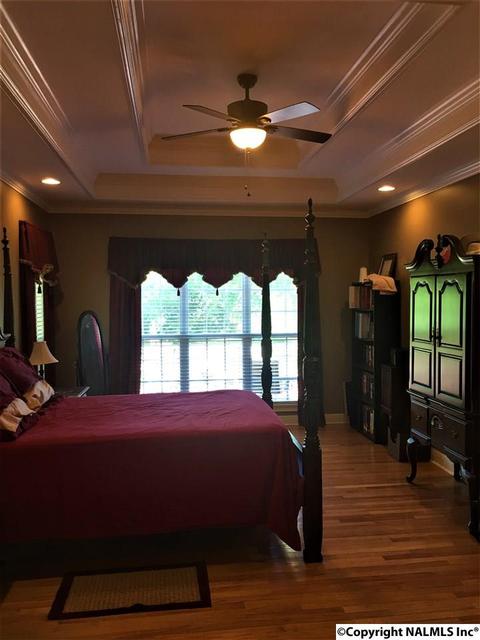 101 County Road 470, Trinity, AL 35673 photo 16