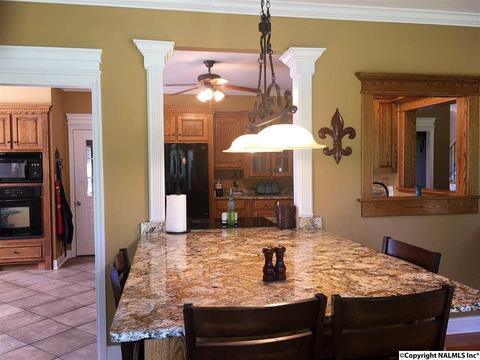 101 County Road 470, Trinity, AL 35673 photo 13