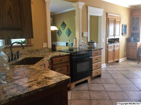 101 County Road 470, Trinity, AL 35673 photo 9