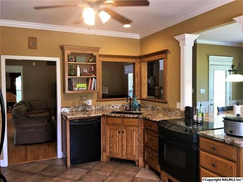101 County Road 470, Trinity, AL 35673 photo 10