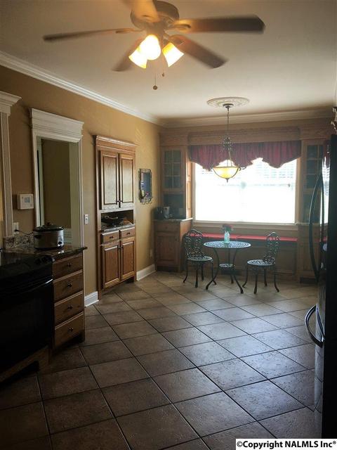 101 County Road 470, Trinity, AL 35673 photo 11