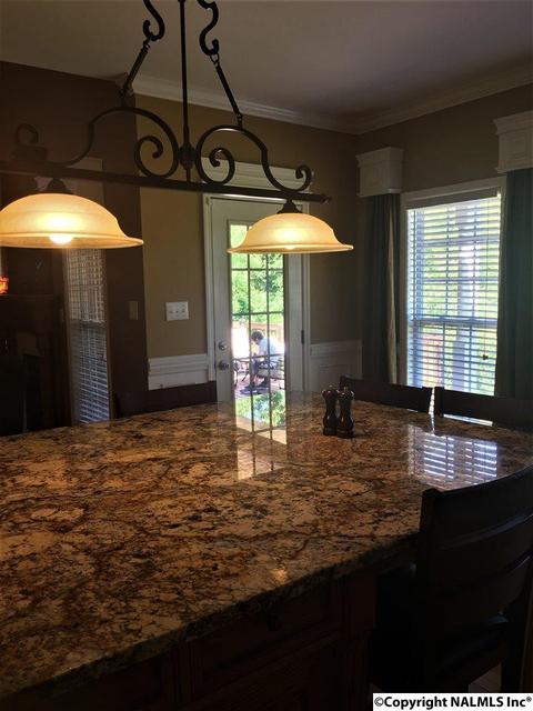 101 County Road 470, Trinity, AL 35673 photo 14
