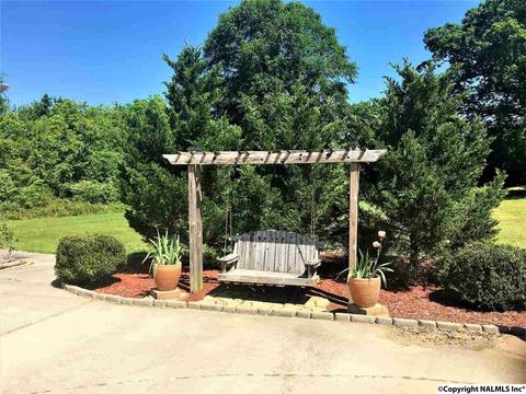 101 County Road 470, Trinity, AL 35673 photo 27
