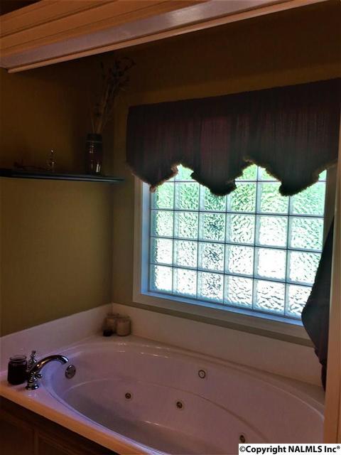 101 County Road 470, Trinity, AL 35673 photo 19