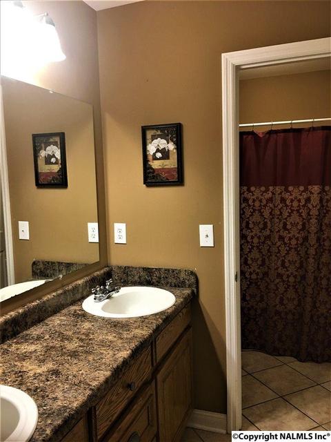 101 County Road 470, Trinity, AL 35673 photo 25
