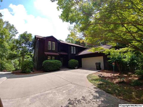 60 Mohawk Ct, Ohatchee, AL 36271 photo 1
