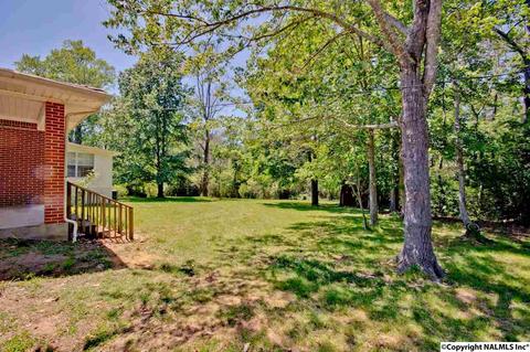 4989 Main St, Grant, AL 35747 photo 34