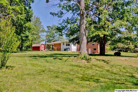 4989 Main St, Grant, AL 35747 photo 32