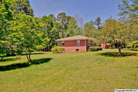 4989 Main St, Grant, AL 35747 photo 33