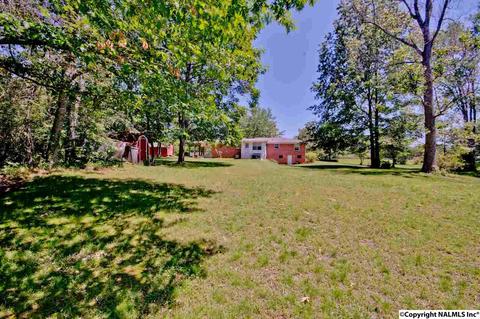 4989 Main St, Grant, AL 35747 photo 30