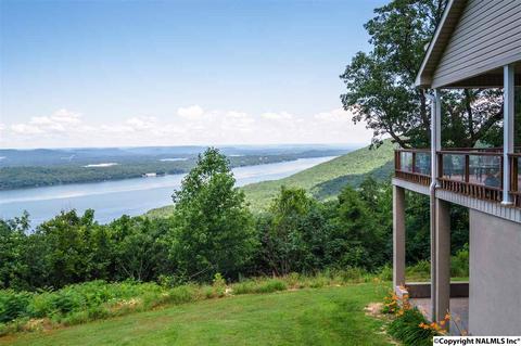 3488 County Road 265, Section, AL 35771 photo 7