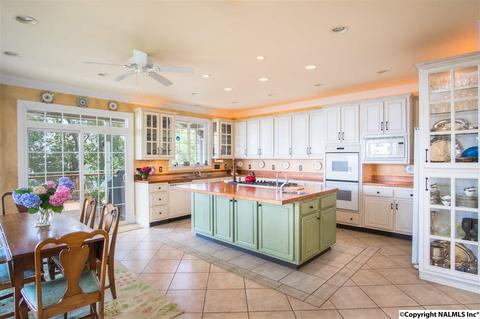 3488 County Road 265, Section, AL 35771 photo 12