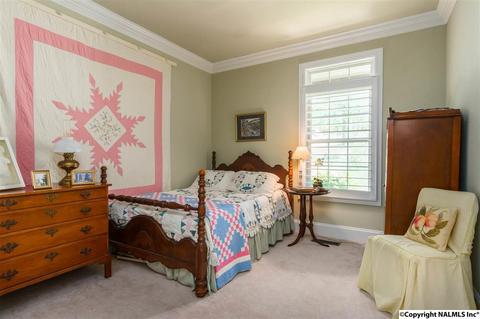 3488 County Road 265, Section, AL 35771 photo 23