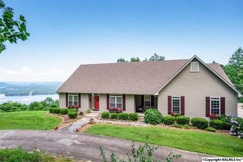 3488 County Road 265, Section, AL 35771 photo 1