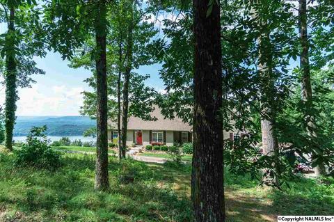 3488 County Road 265, Section, AL 35771 photo 9