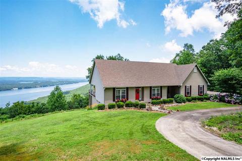 3488 County Road 265, Section, AL 35771 photo 2