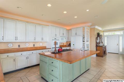 3488 County Road 265, Section, AL 35771 photo 13