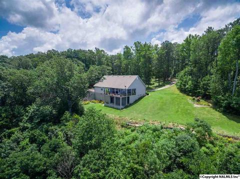 3488 County Road 265, Section, AL 35771 photo 8