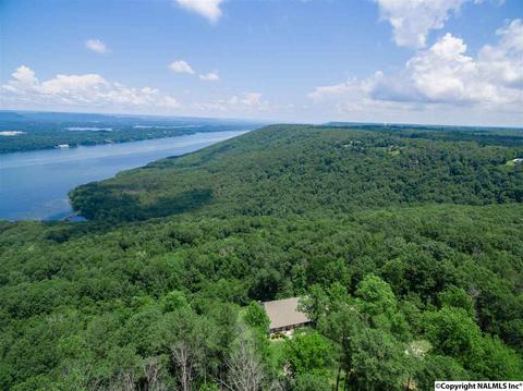3488 County Road 265, Section, AL 35771 photo 5
