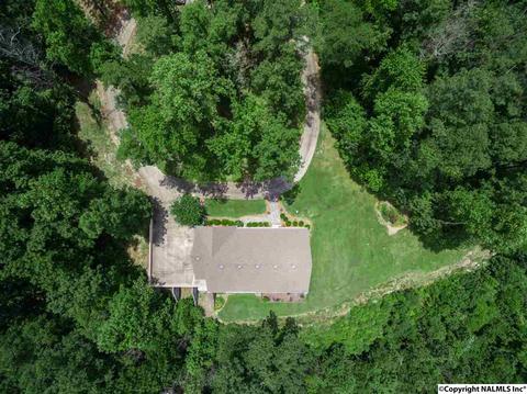 3488 County Road 265, Section, AL 35771 photo 4