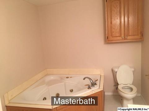 1141 County Road 319, Trinity, AL 35673 photo 11