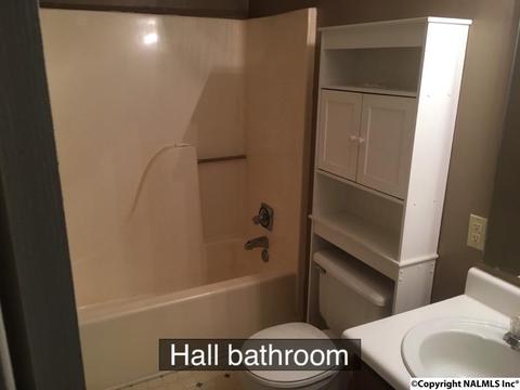 1141 County Road 319, Trinity, AL 35673 photo 15