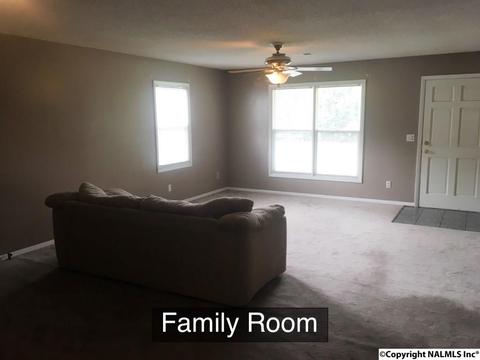 1141 County Road 319, Trinity, AL 35673 photo 6