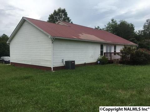1141 County Road 319, Trinity, AL 35673 photo 4